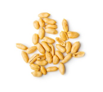 WHITE PEANUT ROASTED