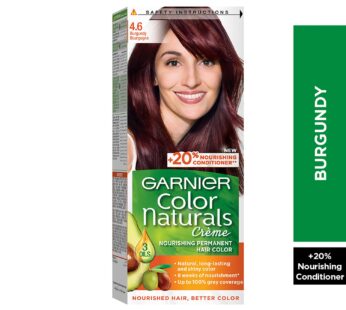 Garnier Color Naturals 4.6 Burgundy 1 pkt